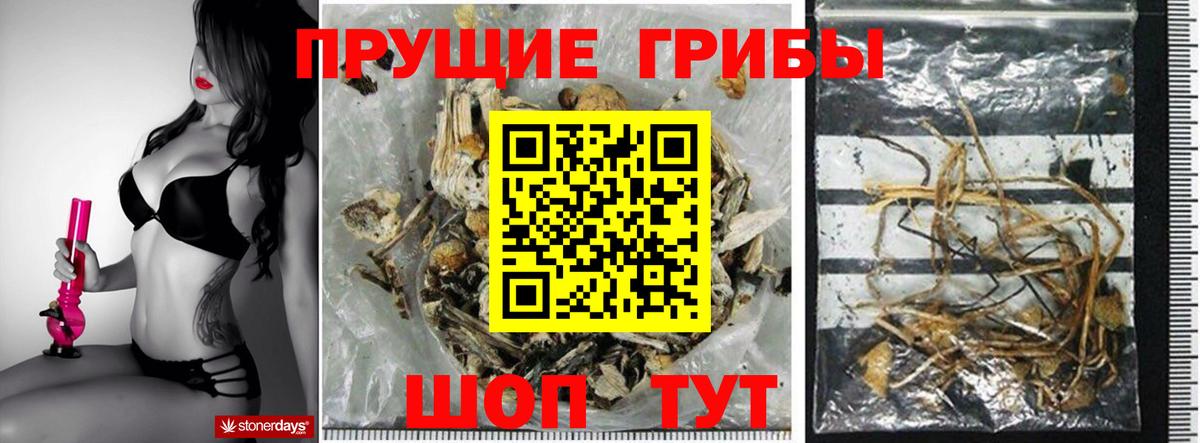Псилоцибиновые грибы мухоморы Подольск