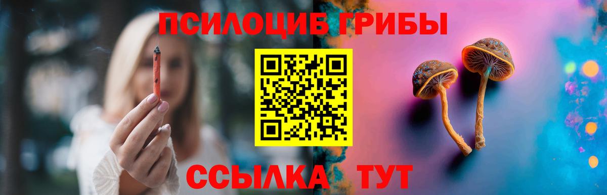 Галлюциногенные грибы ЛСД  дарнет шоп  Вход с VPN  Подольск  Псилоцибиновые грибы Cubensis 